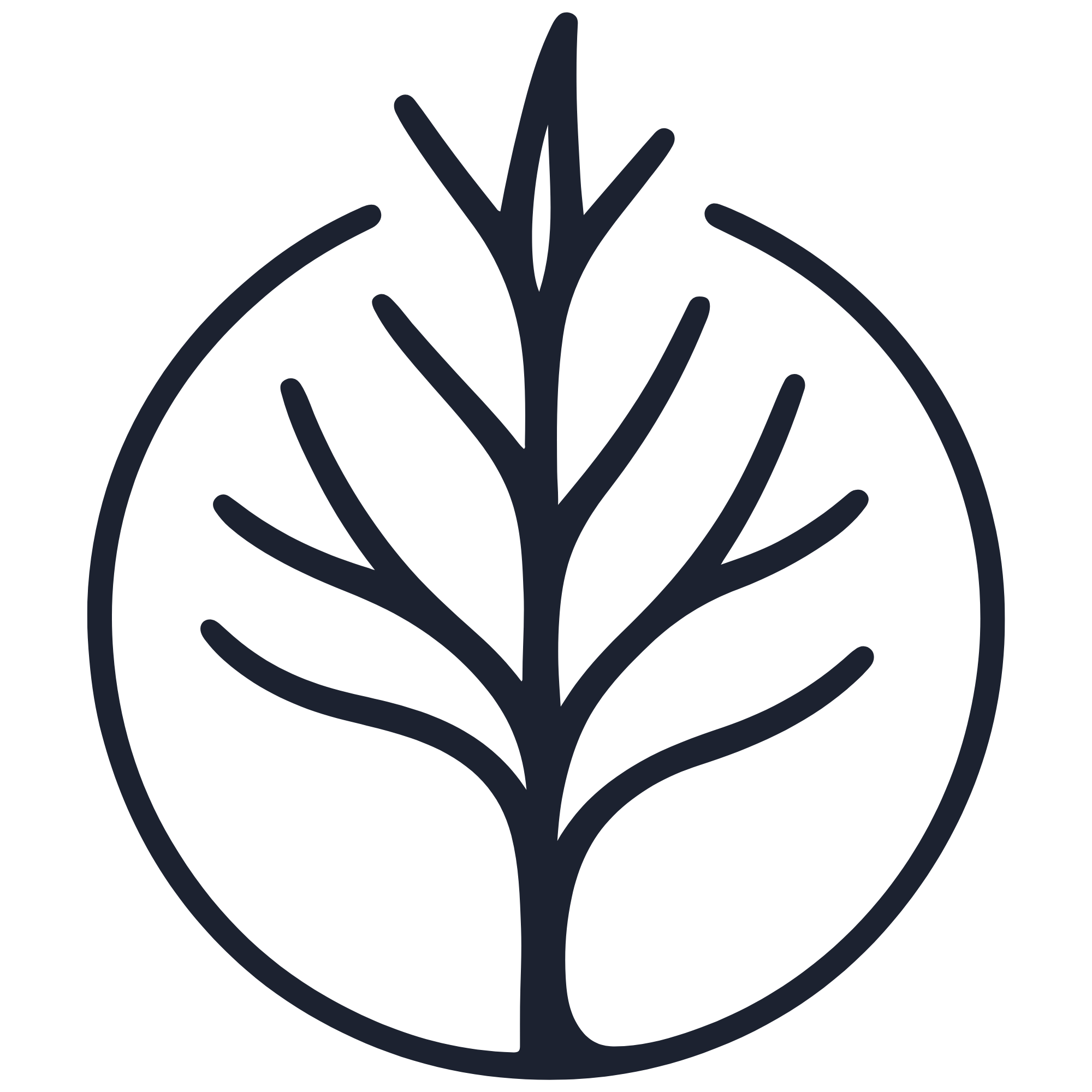Visoko Darvo – Forward, Rooted, Up